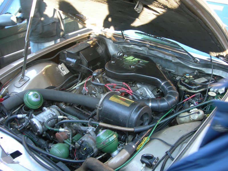 DSCN3769.JPG