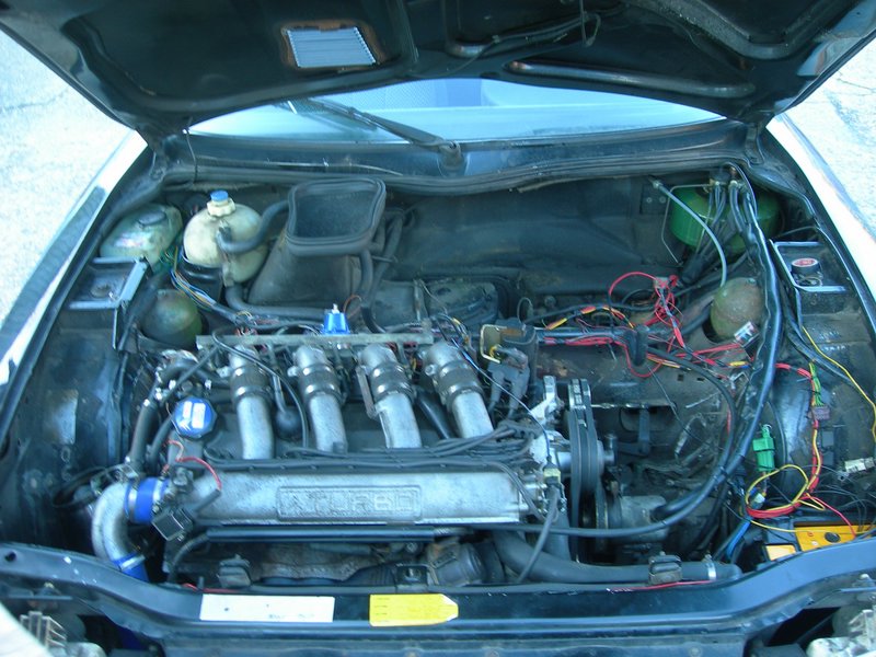 DSCN3816.JPG