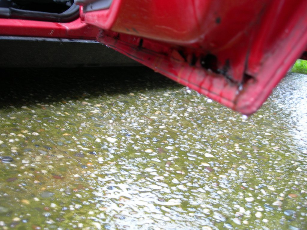 DSCN3596.JPG