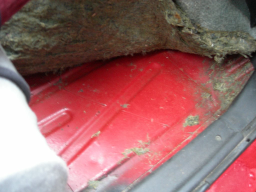 DSCN3597.JPG