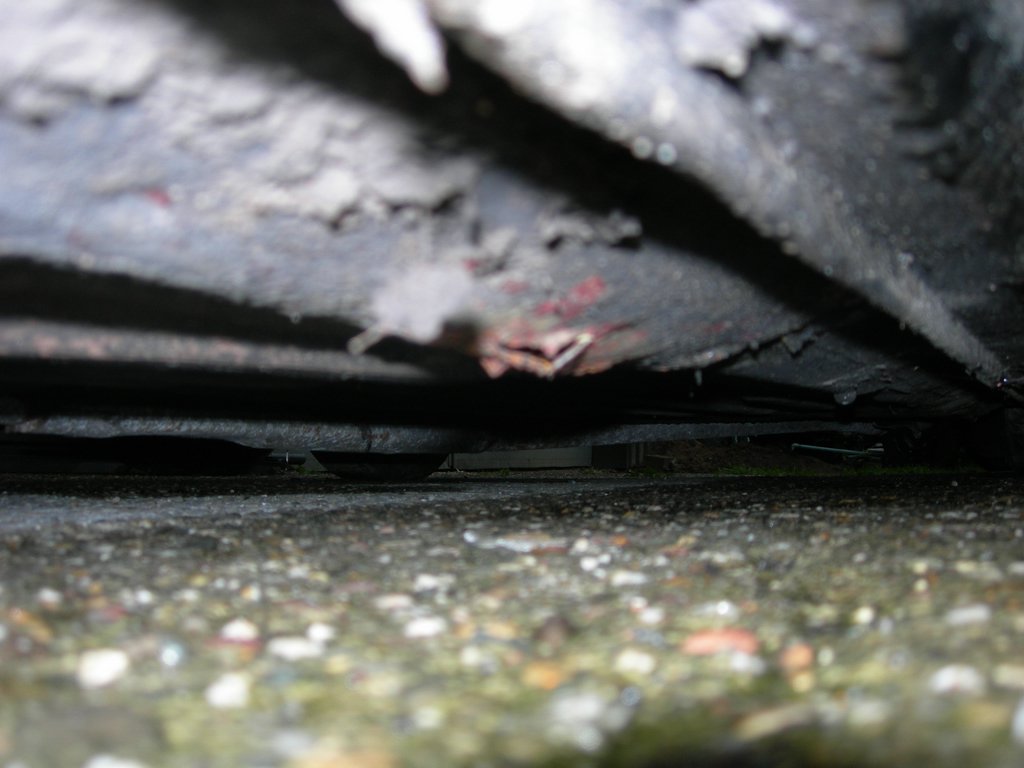 DSCN3623.JPG