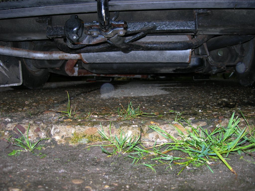 DSCN3635.JPG