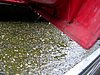 DSCN3594.JPG