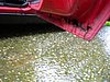 DSCN3596.JPG