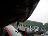 DSCN3611.JPG