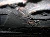 DSCN3627.JPG