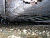DSCN3630.JPG