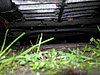 DSCN3633.JPG